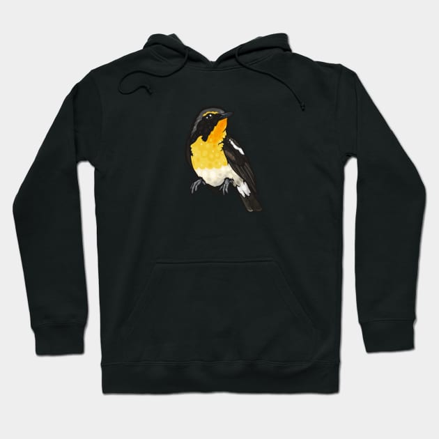 Narcissus Flycatcher Hoodie by Ginboy